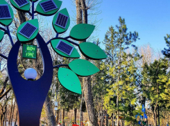 Солнечное дерево, измеряющее радиоактивный фон в парке Островского, пугает жителей Ростова