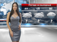 Дождь и сильный ветер ожидаются в Ростове на этих выходных