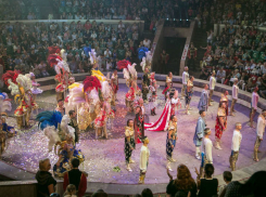 «Цирк с конями» попросили разогнать министра культуры в Ростове