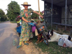 Путешествующая на велосипеде с тремя собаками и кошкой женщина пропала в Ростовской области