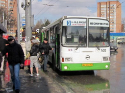 Шесть признаков ростовского общественного транспорта, о которых не написано в правилах