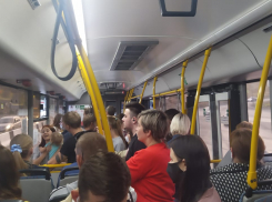 Ростовские власти отчитались о проверках масок в транспорте