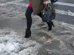 Обрушившийся на Ростов снегопад принесет похолодание и мерзопакостную слякоть