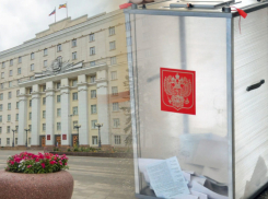 Выборы 2025 на Дону проходят штатно