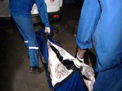 Женщина мучительно погибла под колесами ЗИЛа на вечерней трассе под Ростовом