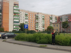 В Ростовской области нарушители заплатят 5,5 млн рублей за нескошенный сорняк