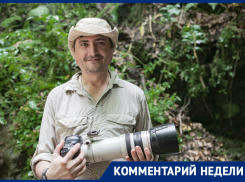 Зоолог рассказал о том, кого кусают комары и возможна ли в Ростовской области лихорадка Денге