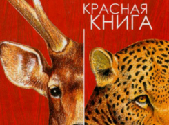 Прокуратура лишила циничных ростовских дельцов бизнеса по продаже животных из Красной книги