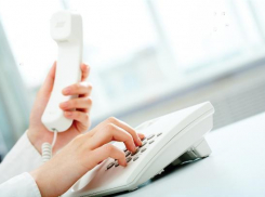 О выплате пособий можно узнать по телефону горячей линии