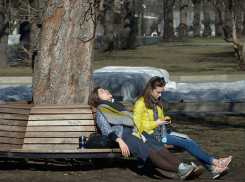 По-летнему теплая с легким освежающим ветерком погода ожидает жителей Ростова в эту среду