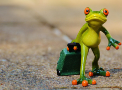 «Дожить до отпуска»: ростовчане рассказали, смогут ли они отдохнуть от работы в этом году