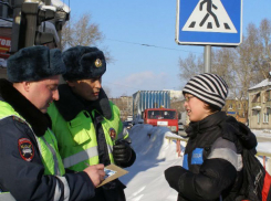 Жесткая операция полиции против «оборзевших» жителей Ростова вызвала веселье в соцсетях