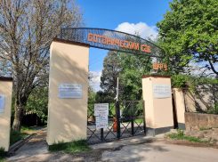 «За две недели собрали 360 тысяч рублей»: в ботсаду ЮФУ рассказали, к чему приведет платный вход