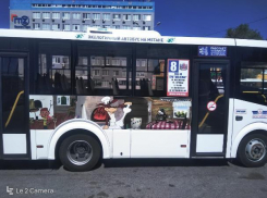 Ростовские автобусы украсили изображениями героев советских мультфильмов