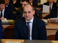 Депутат гордумы Ростова за год обеднел на 99 млн рублей