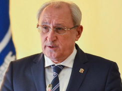 Общественная палата Ростова: бывший замгубернатора согласится на роль «свадебного генерала»?