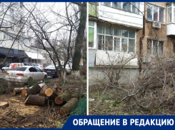 «Секретное» распоряжение: в Ростове под видом благоустройства снова спилили деревья