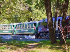 Ростовскому парку вручат «Хрустальное колесо» как лучшему в России