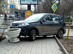 Поразительная наглость ростовского автохама подвергла опасности мамочек с колясками
