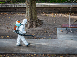 Ростов и Каменск-Шахтинский лидируют по числу случаев коронавируса за сутки