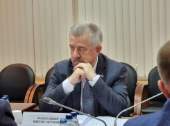 Госдума назначила бывшего атамана Всевеликого войска Донского Водолацкого своим представителем в ЛНР