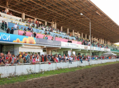 Ростовский ипподром сохранится, жилье на его месте строить нельзя — заявил первый замгубернатора Ревенко