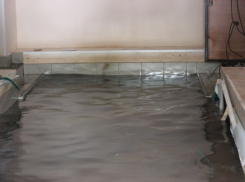 Уволена сотрудница службы спасения, которая отказалась помочь детям во время ливня