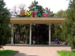 1 мая в Ростовском зоопарке стартует весенне-летний сезон