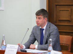 Глава администрации попросил ростовчан отказаться от поездок за границу