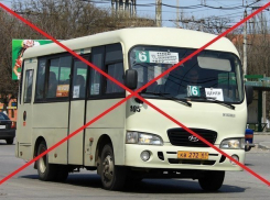 Школьник из Таганрога просит губернатора запретить маршрутки и автобусы