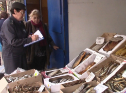 Денатурацию более 200 кг аппетитной рыбы на рыбке в Ростове сняли на видео