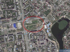 В ростовском парке стая собак разорвала кошку на глазах местных жителей