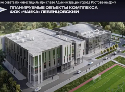 В Ростове свернули проект крупнейшего спорткомплекса «Чайка» на Северном 