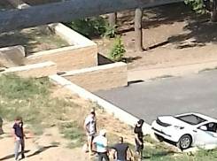 Припарковавшаяся «дыбом» богиня на Kia вызвала дикий хохот у жителей Ростова