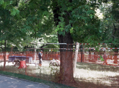 В Кировском районе появится площадка для детей с ограниченными возможностями здоровья