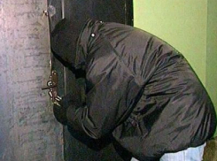 Серийных грабителей дачных домиков поймали в Ростовской области 
