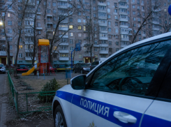В Ростове нашли мать-кукушку, которая бросила младенца на Суворовском 