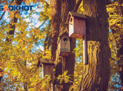 В гидрометцентре рассказали, какая погода ждет ростовчан во вторник