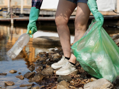 ГК «Чистый город» примет участие в генеральной уборке Можайской рощи
