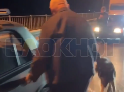 В Донецке Ростовской области мужчина привязал собаку к машине: полиция выяснила обстоятельства инцидента