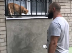 Рассмешивший прохожих в Ростове «прыжок веры» пугливого акробата попал на видео