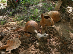 В Ростове разыскивают родственников бойца Красной Армии, погибшего под Смоленском 
