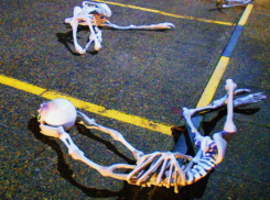 Скелеты мерзких чудовищ шокировали ростовчан на выставке эпатажной художницы