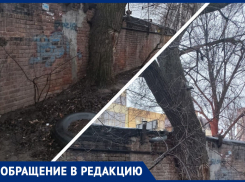 «Мой гараж рушится»: ростовчанин два года не может добиться сноса аварийного дерева