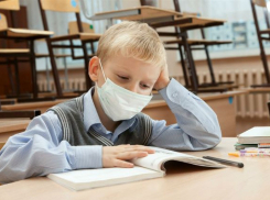 В Ростовской области потратят 403  млн рублей на защитные средства для школ