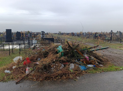 После публикации «Блокнот Ростов» Следком проверит свалку у Аллеи Героев СВО в Азове