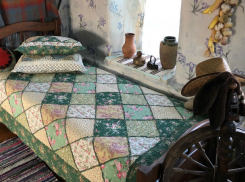 Губернатор Василий Голубев показал на фото родной дом