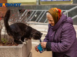 В Ростове потеплеет до +13 градусов 22 февраля