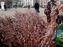 Накануне Вербного воскресенья «ломовые» цены на вербу возмутили ростовчан