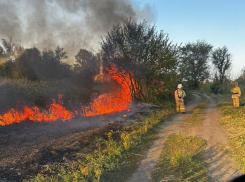 В Ростовской области оценят пострадавшие в пожарах дома для выплат жителям